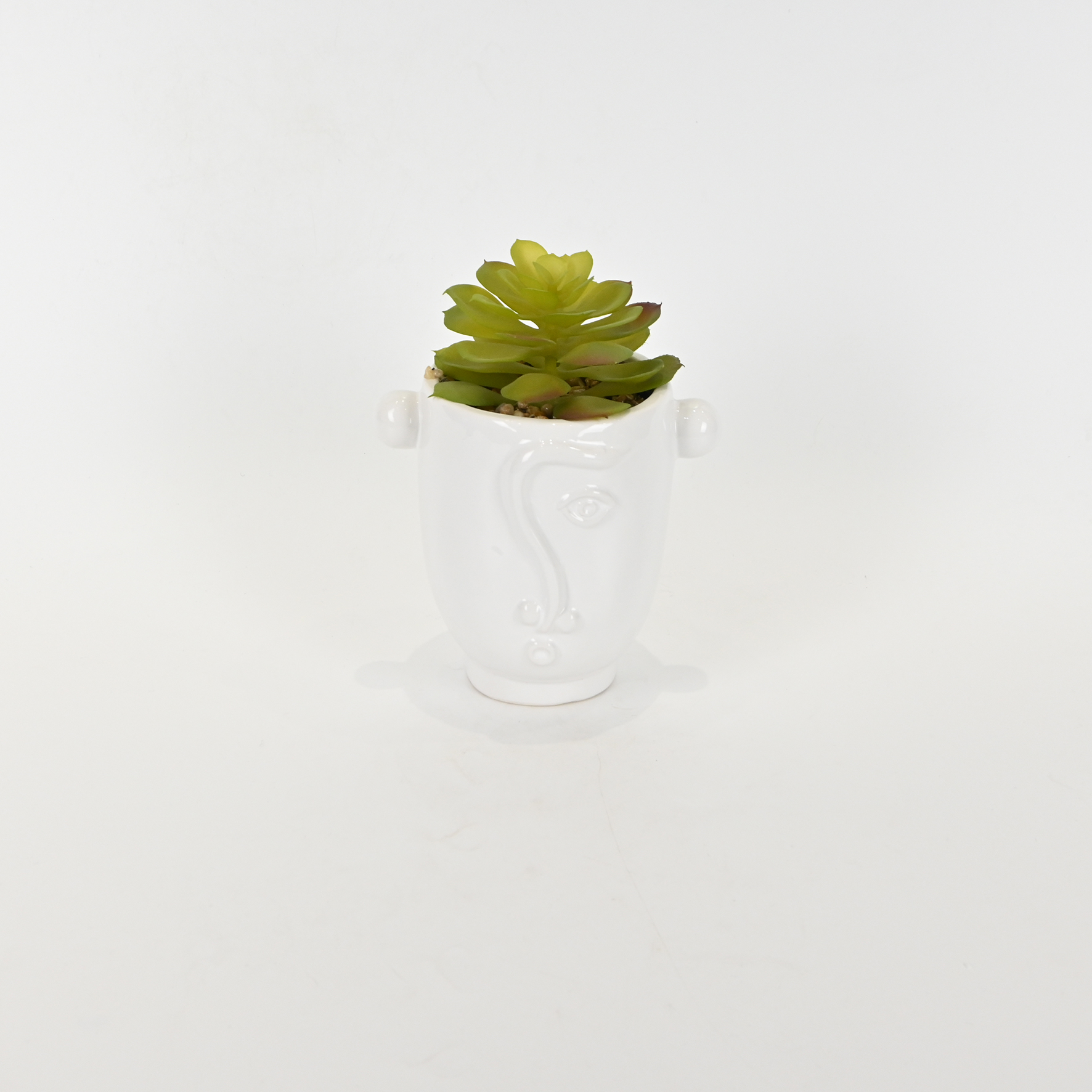 Abstract Figures  Succulent Ornament-white