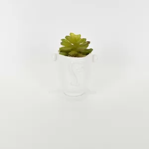 Abstract Figures  Succulent Ornament-white