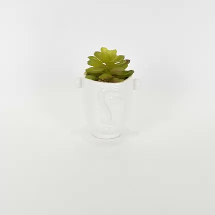 Abstract Figures  Succulent Ornament-white