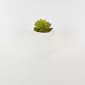 Abstract Figures  Succulent Ornament-white