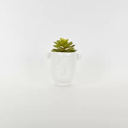 Abstract Figures  Succulent Ornament-white