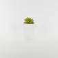 Abstract Figures  Succulent Ornament-white