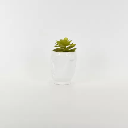 Abstract Figures  Succulent Ornament-white
