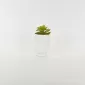 Abstract Figures  Succulent Ornament-white