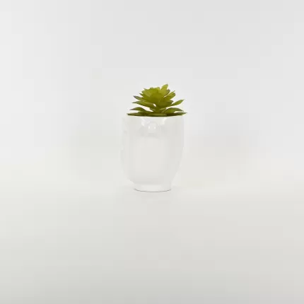 Abstract Figures  Succulent Ornament-white