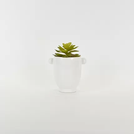 Abstract Figures  Succulent Ornament-white