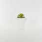 Abstract Figures  Succulent Ornament-white