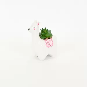 Alpaca Succulent Ornament