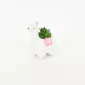 Alpaca Succulent Ornament
