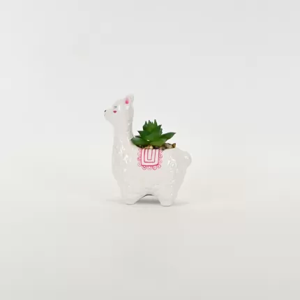 Alpaca Succulent Ornament