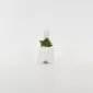 Alpaca Succulent Ornament