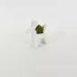 Balloon Dog Succulent Ornament-white