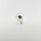 Balloon Dog Succulent Ornament-white