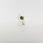Balloon Dog Succulent Ornament-white