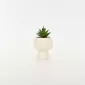 Tall Mushroom Plant Pot-white