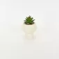 Tall Mushroom Plant Pot-white