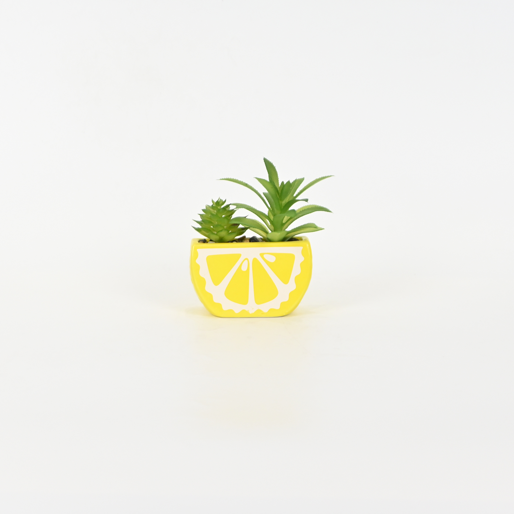 Lemon Succulent Ornament
