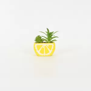 Lemon Succulent Ornament