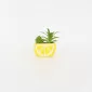 Lemon Succulent Ornament