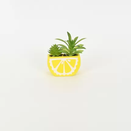 Lemon Succulent Ornament