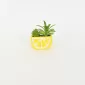 Lemon Succulent Ornament