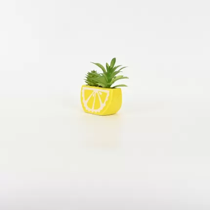 Lemon Succulent Ornament
