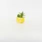 Lemon Succulent Ornament