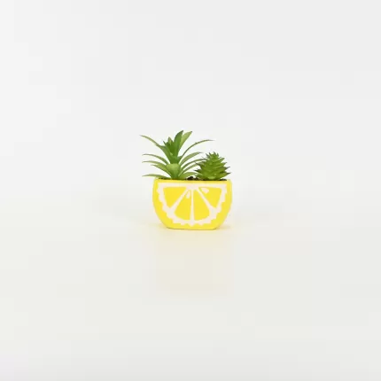 Lemon Succulent Ornament