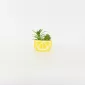 Lemon Succulent Ornament