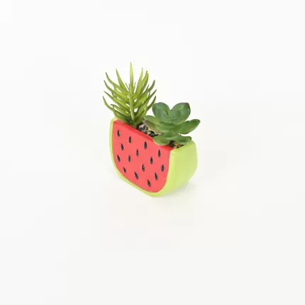 Watermelon Succulent Ornament