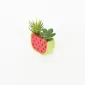 Watermelon Succulent Ornament