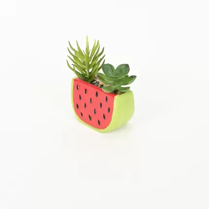 Watermelon Succulent Ornament