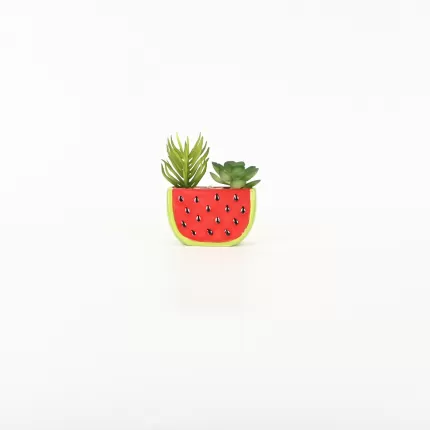Watermelon Succulent Ornament