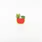 Watermelon Succulent Ornament