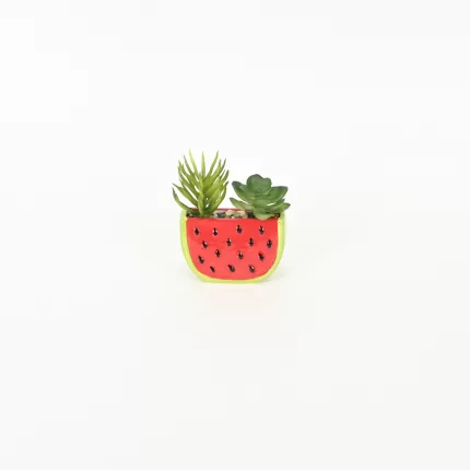 Watermelon Succulent Ornament