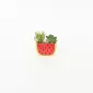Watermelon Succulent Ornament