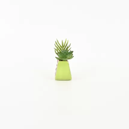 Watermelon Succulent Ornament