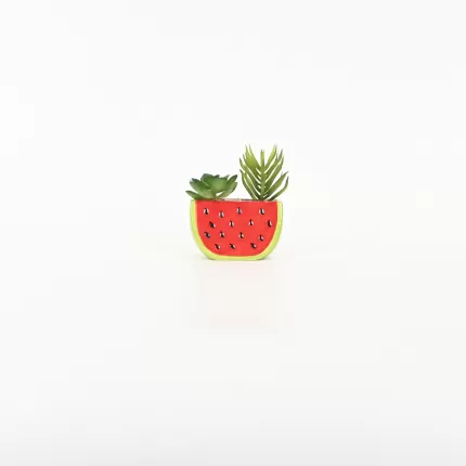 Watermelon Succulent Ornament