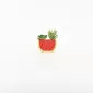 Watermelon Succulent Ornament
