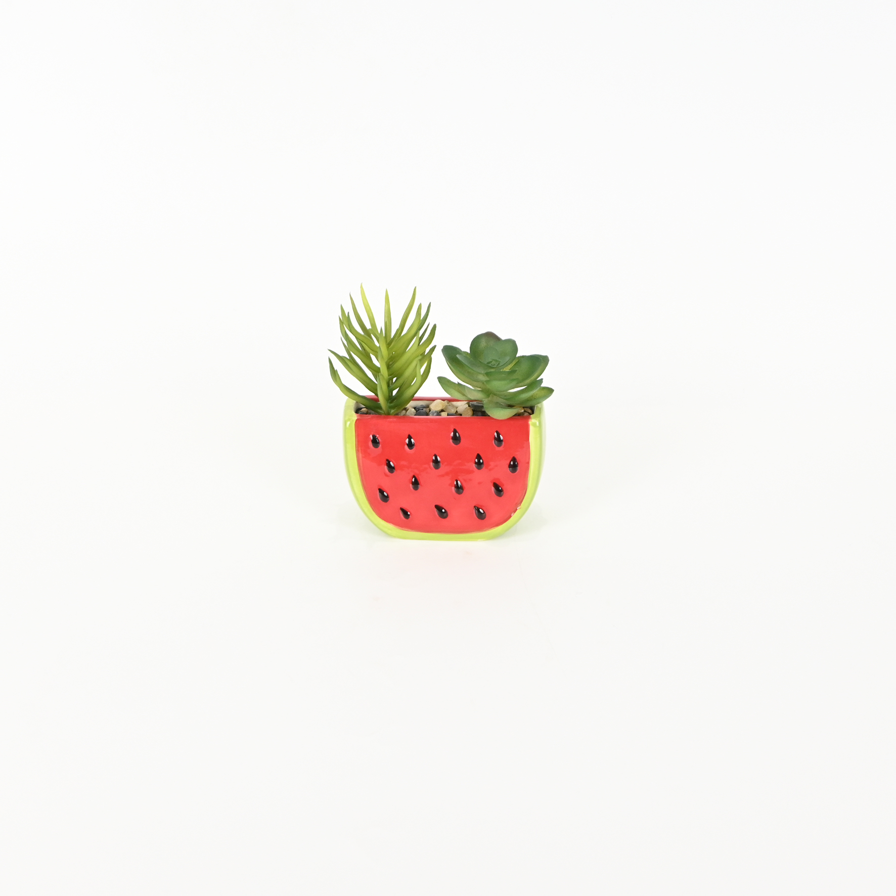 Watermelon Succulent Ornament