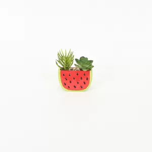 Watermelon Succulent Ornament
