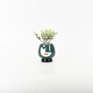 Abstract Figure Succulent Ornament