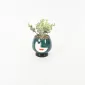 Abstract Figure Succulent Ornament