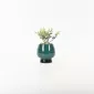 Abstract Figure Succulent Ornament