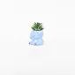 Hippopotamus Succulent Ornament-sky blue