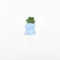 Hippopotamus Succulent Ornament-sky blue