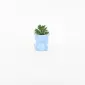 Hippopotamus Succulent Ornament-sky blue