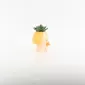 Cute Girl Succulent Ornament