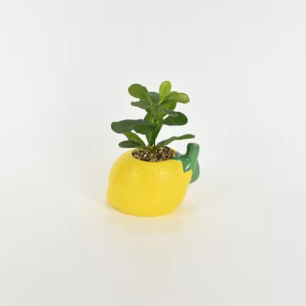 Lemon Plant Ornament
