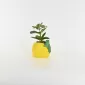 Lemon Plant Ornament